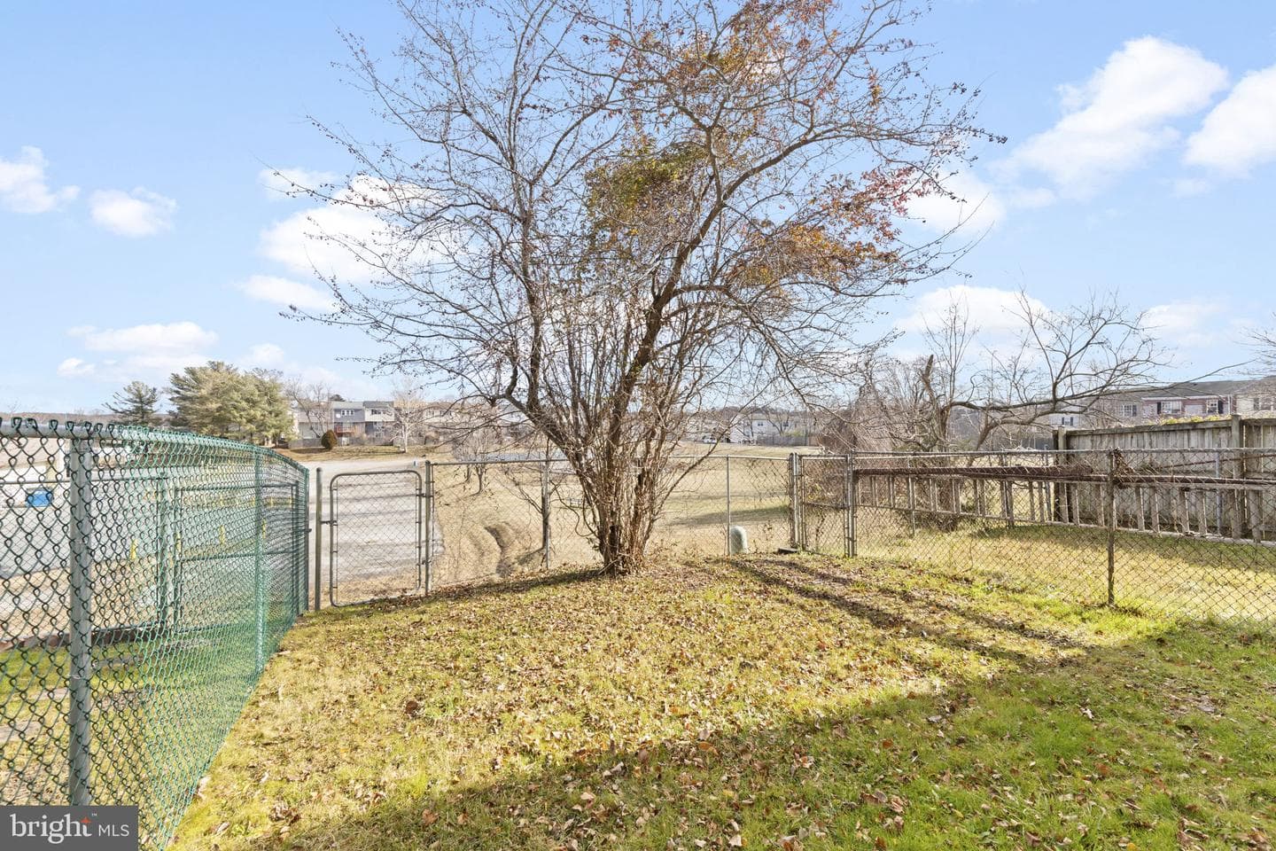 1770 Judy Way photo 21