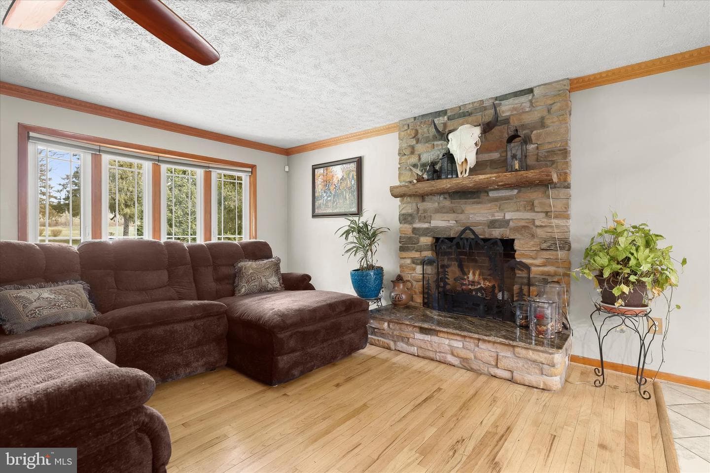 3919 W Chapel Road photo 19