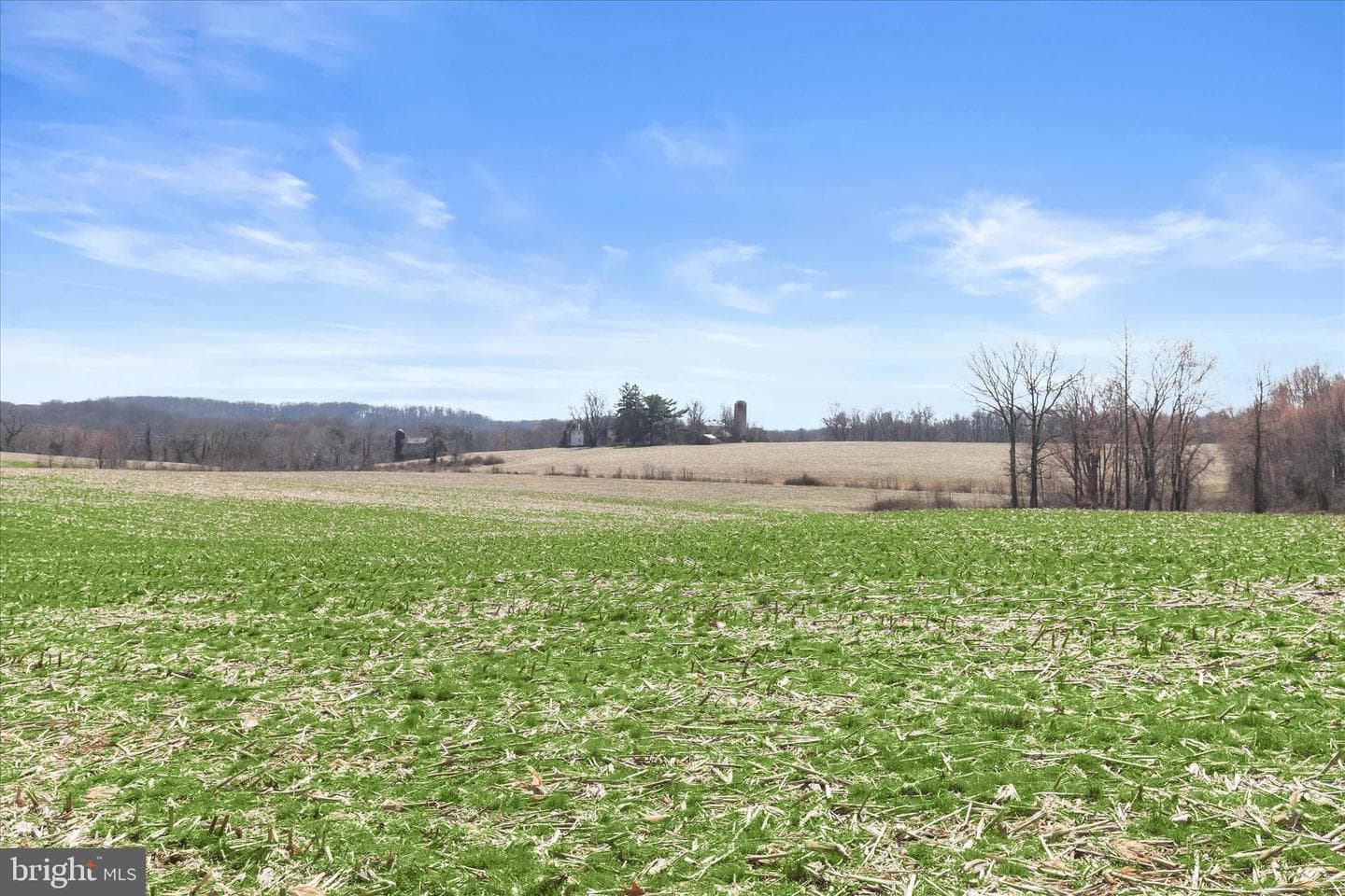 3919 W Chapel Road photo 59