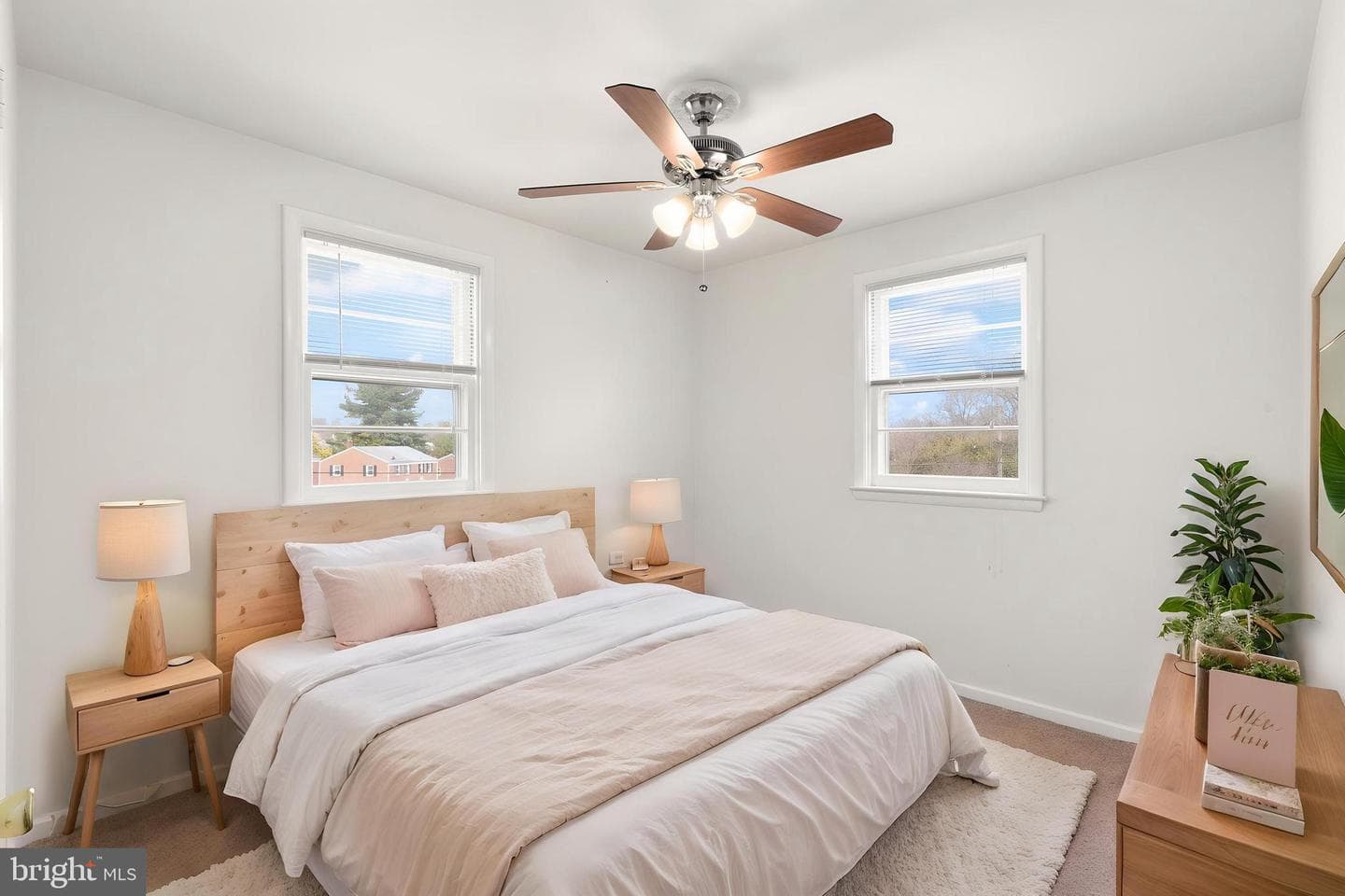 17 Shannon Drive photo 16