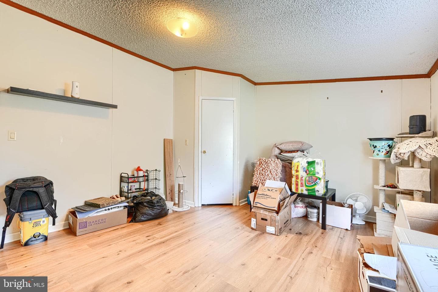 3 Locust Street photo 26
