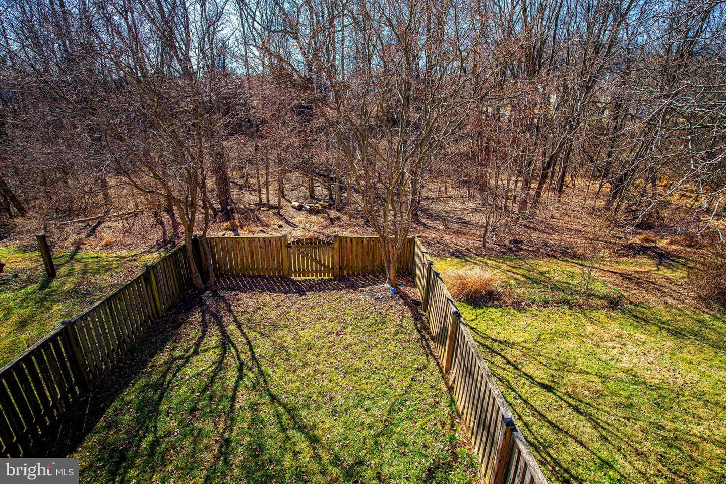 1810 Wye Mills Lane photo 25