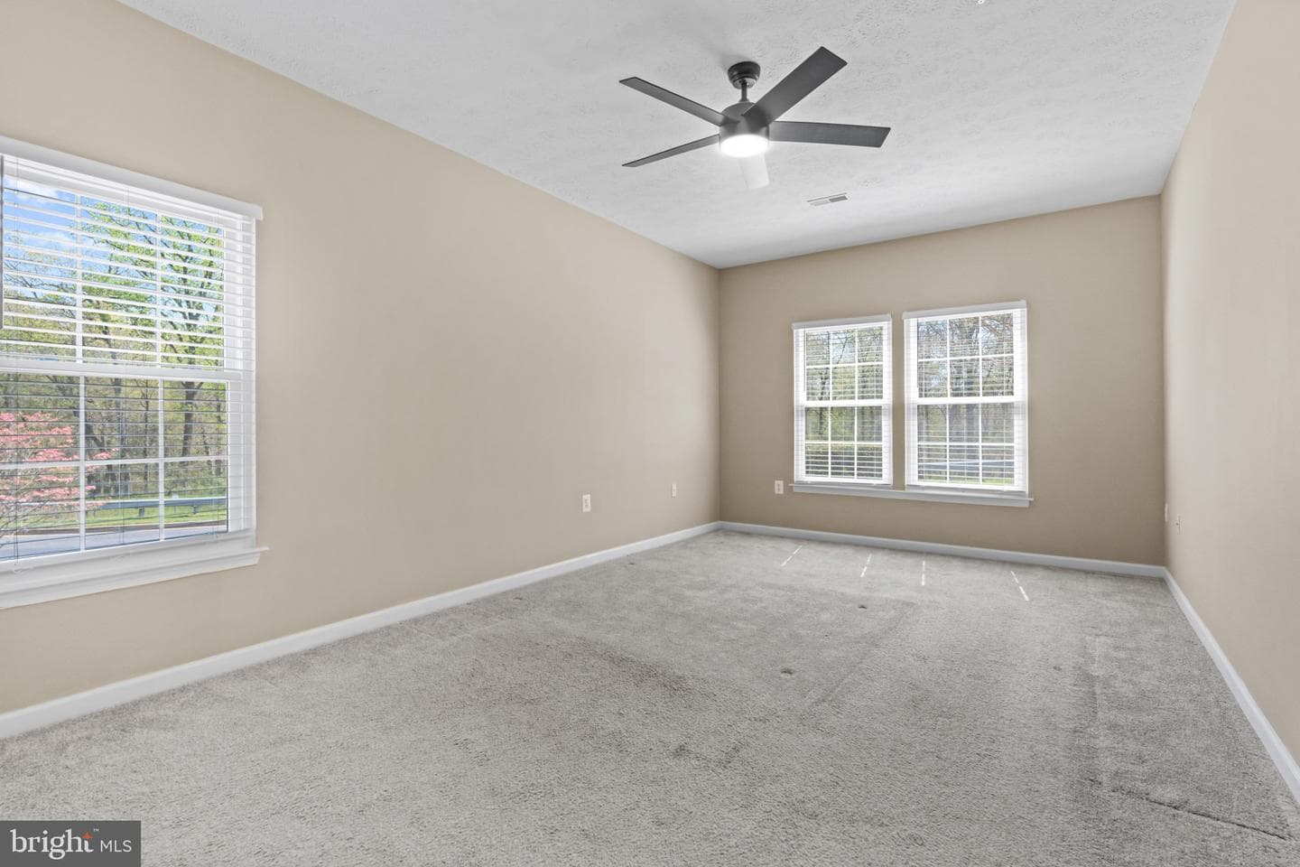 309 Willrich Circle #309d photo 19