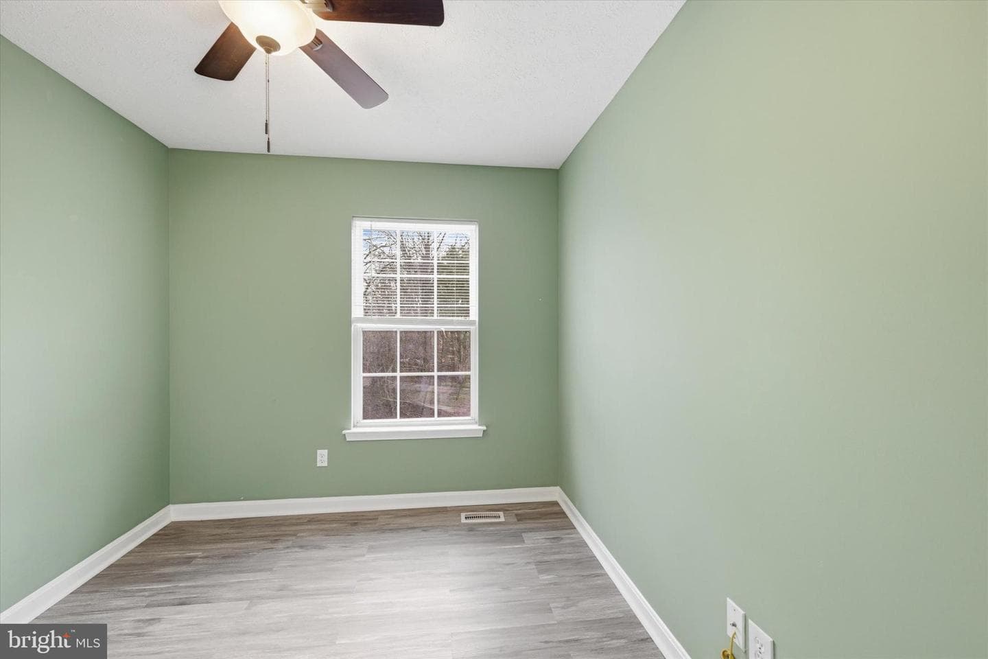 587 Hall Court photo 16