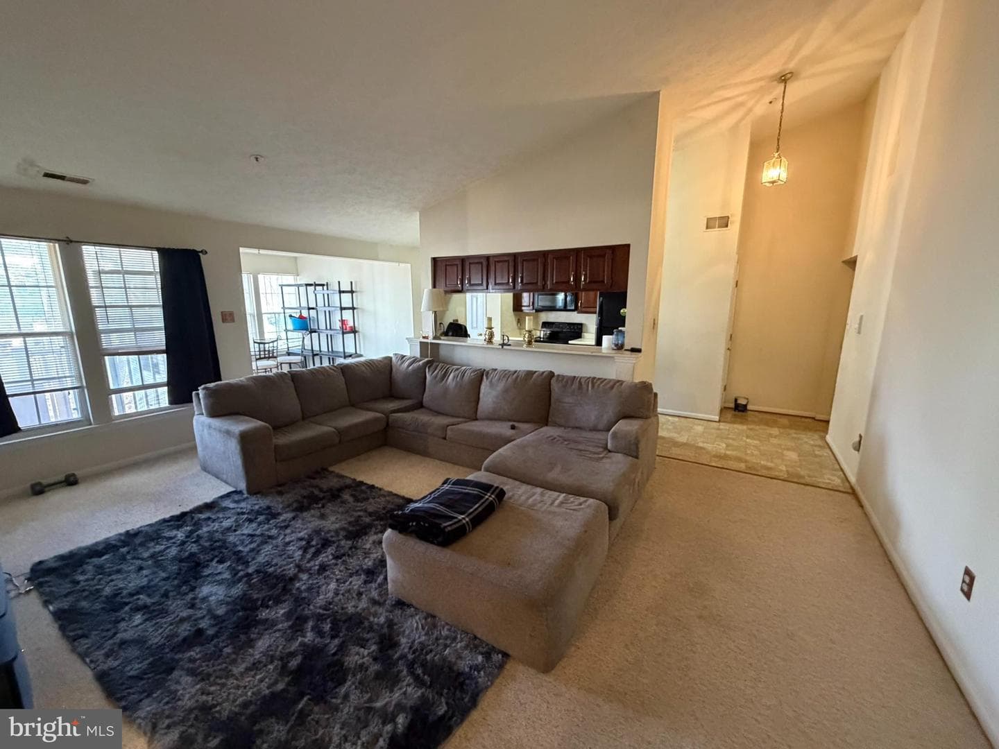 1305 Clover Valley Way #1305 photo 13