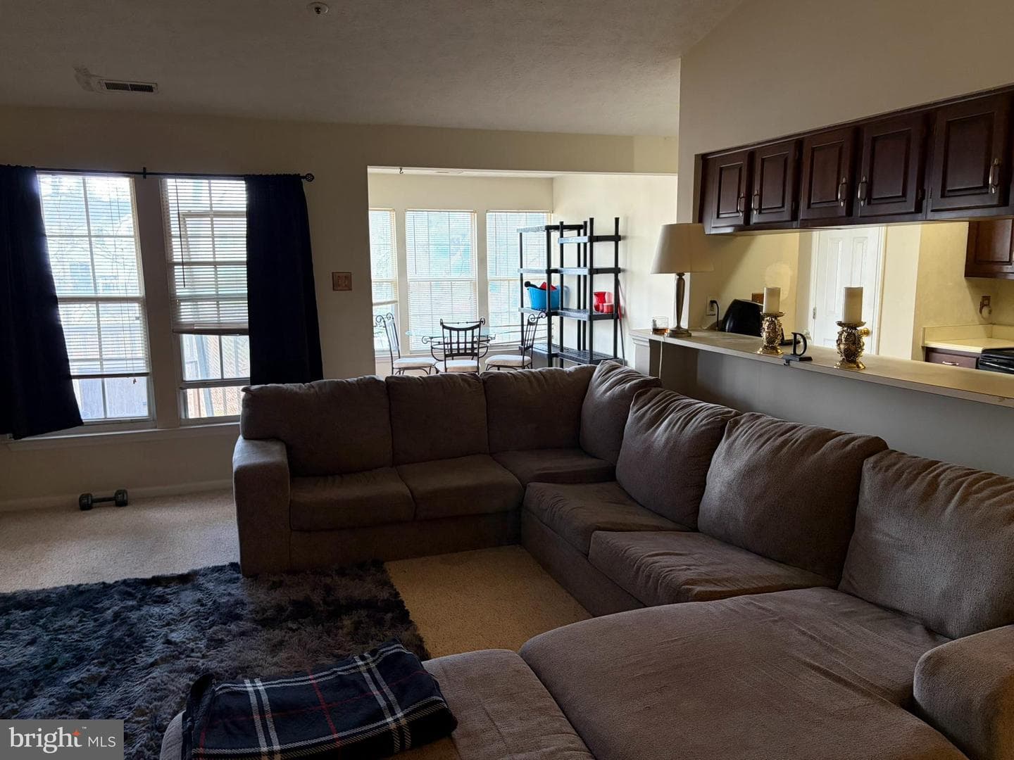 1305 Clover Valley Way #1305 photo 18