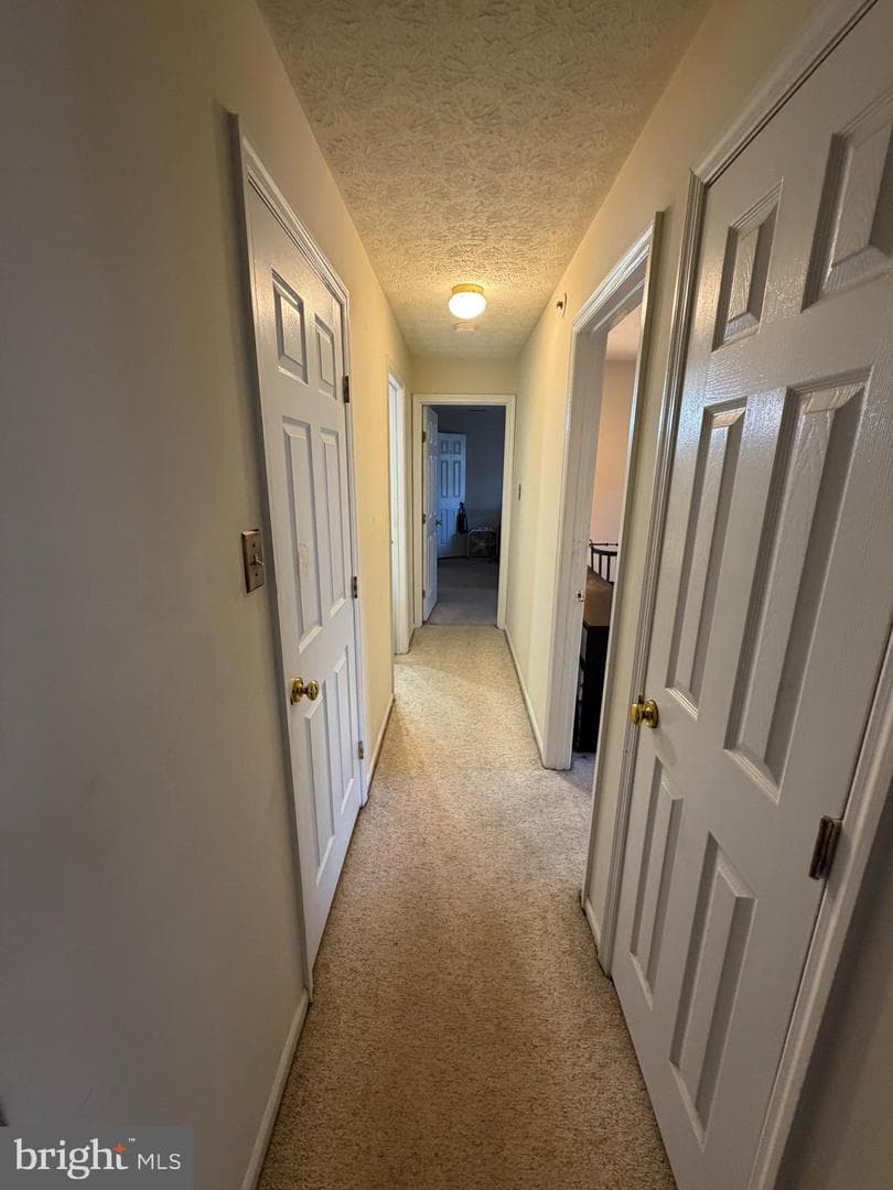1305 Clover Valley Way #1305 photo 23