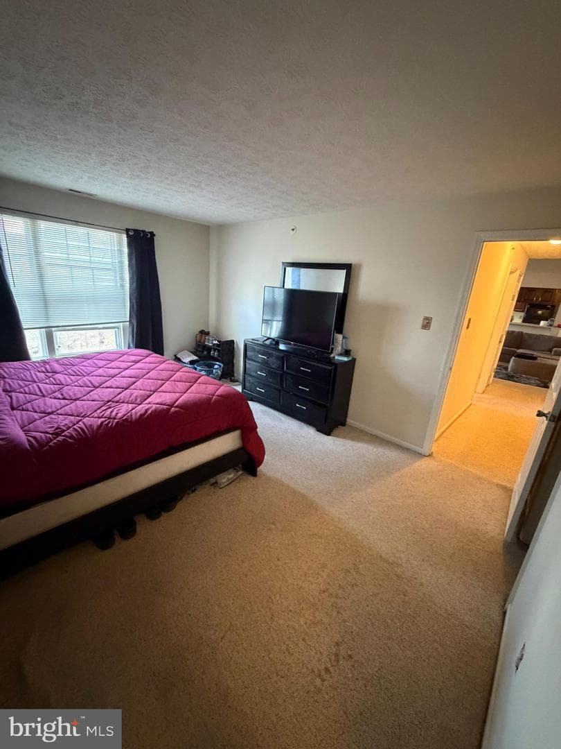 1305 Clover Valley Way #1305 photo 41