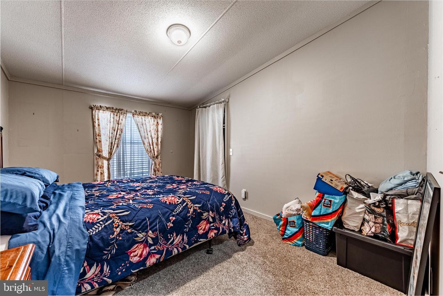 1826 Emily Drive photo 17