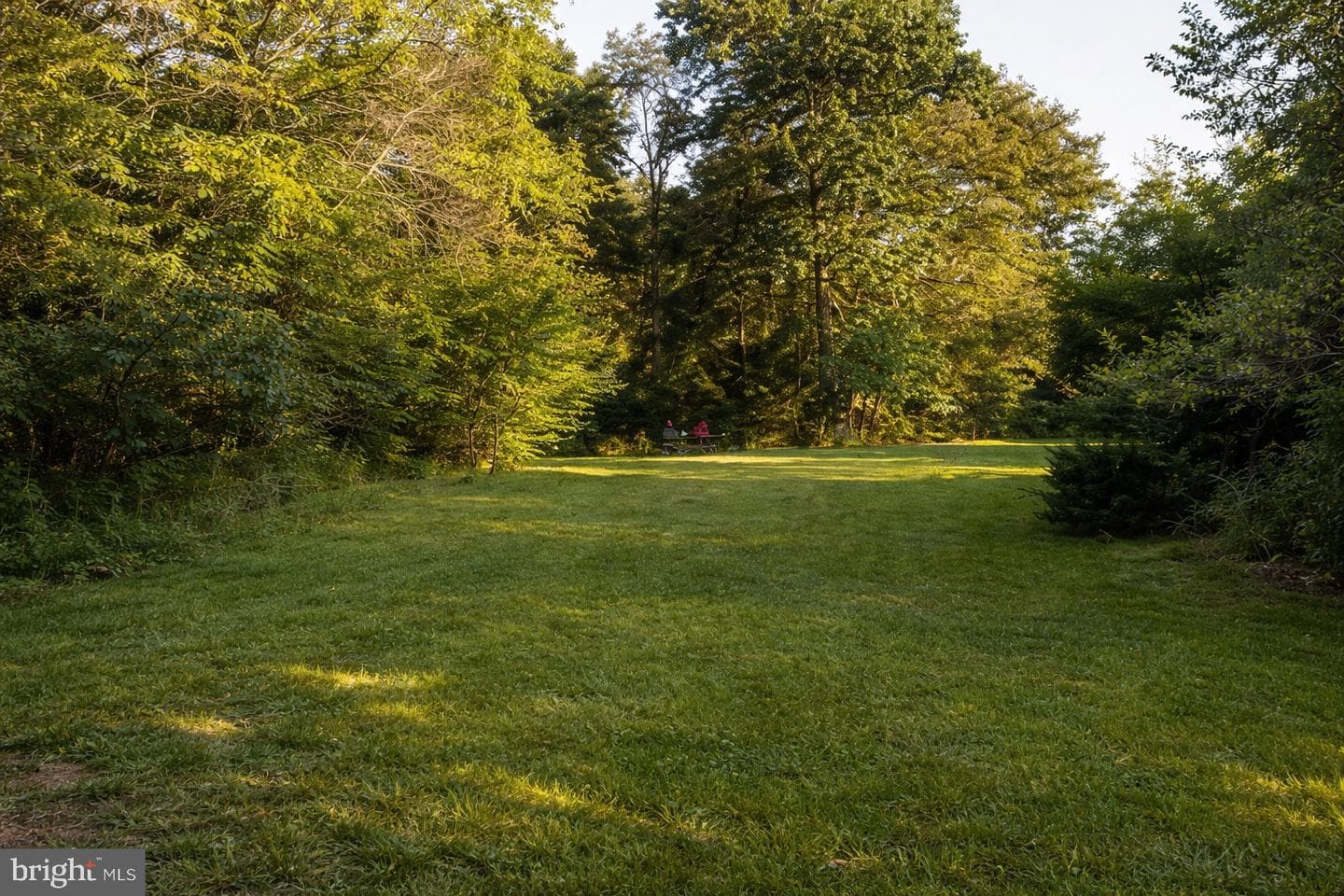 123 Philadelphia Road photo 36