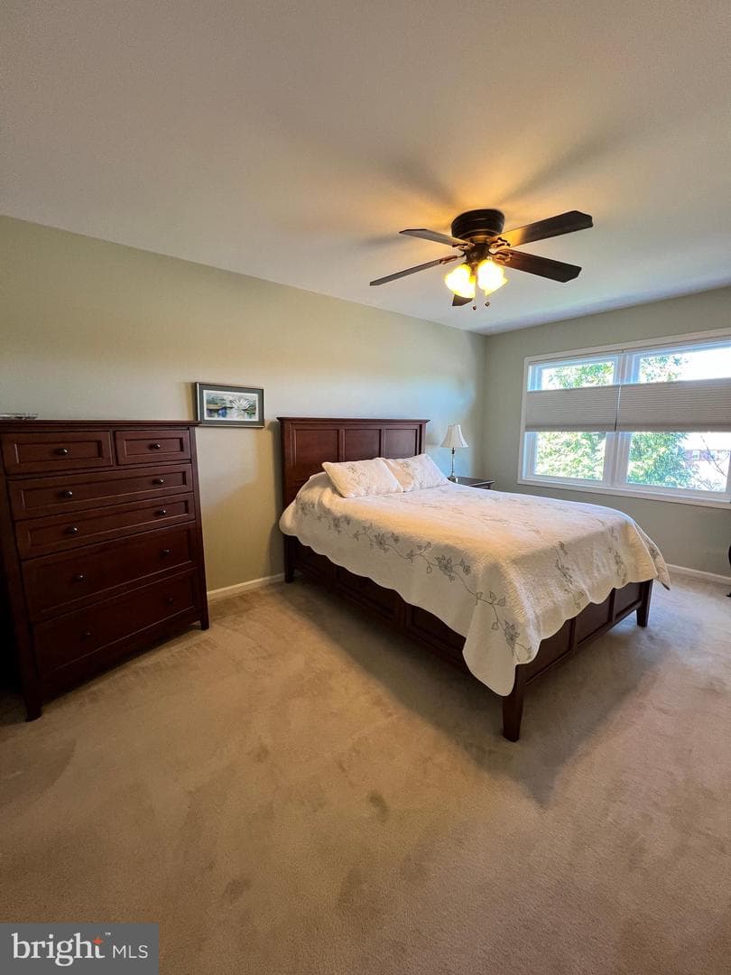 400 Chadford Court photo 21