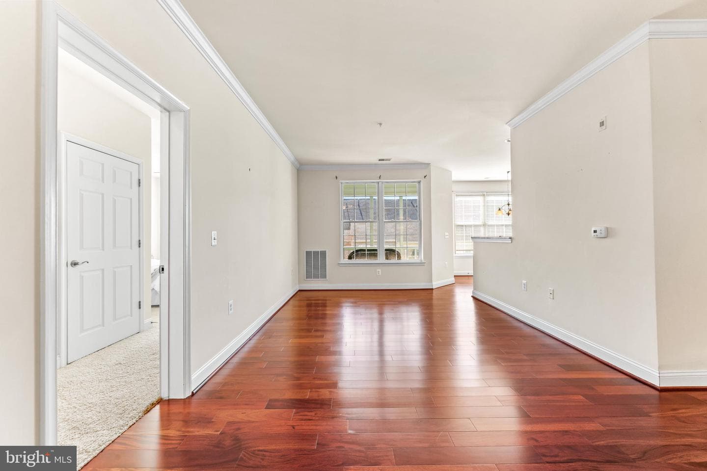 1818 Selvin Drive #203 photo 5