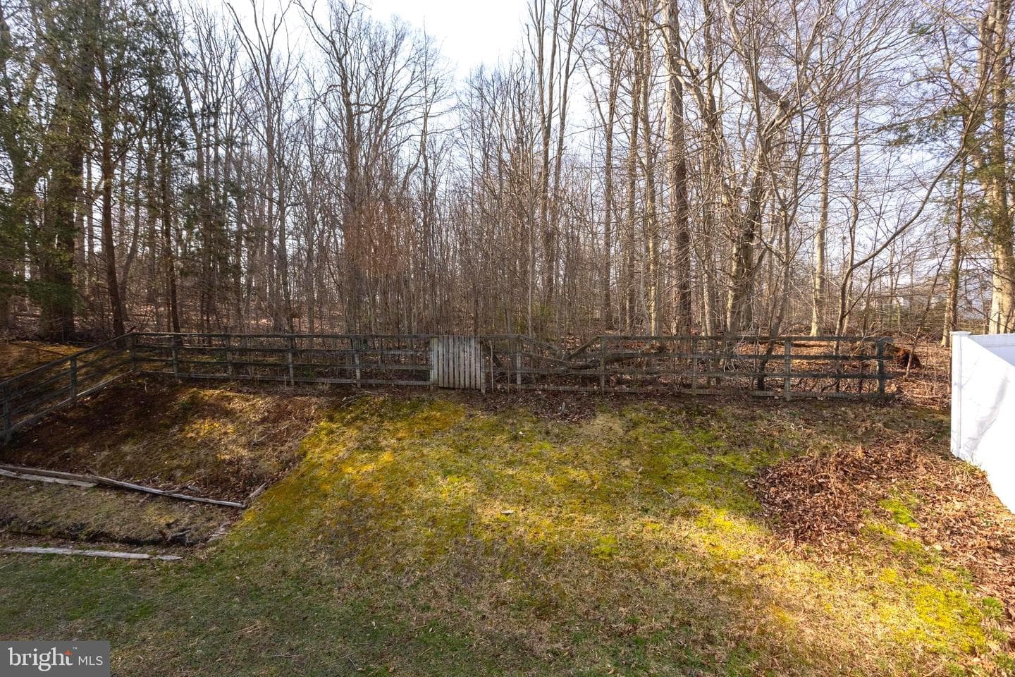 1113 Walnut Hill Court photo 37
