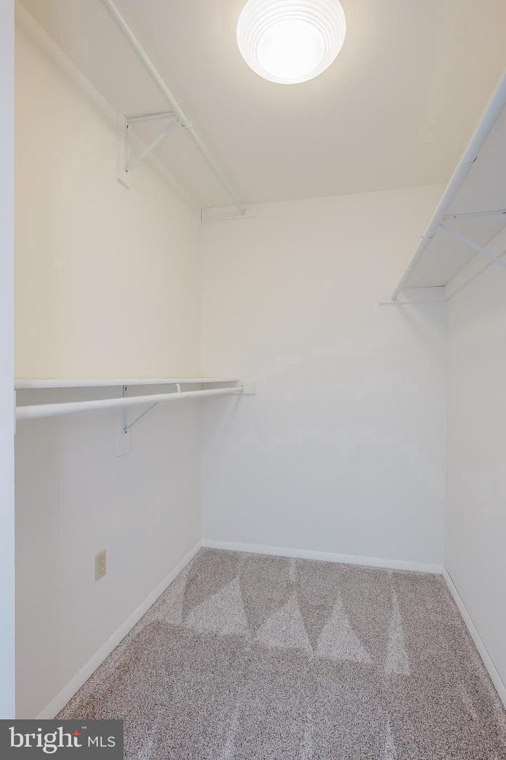 406 Laburnum Road photo 22