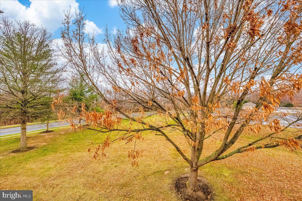 1310 Sheridan Place #36 (306) photo 25