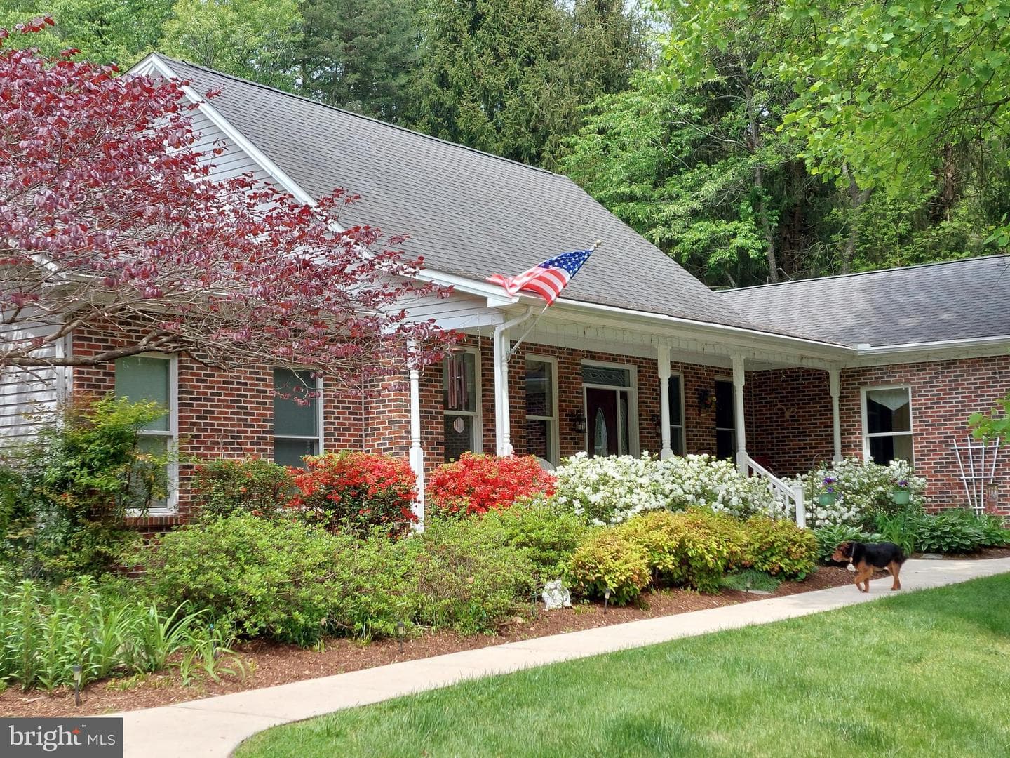 3160 Sandy Hook Road