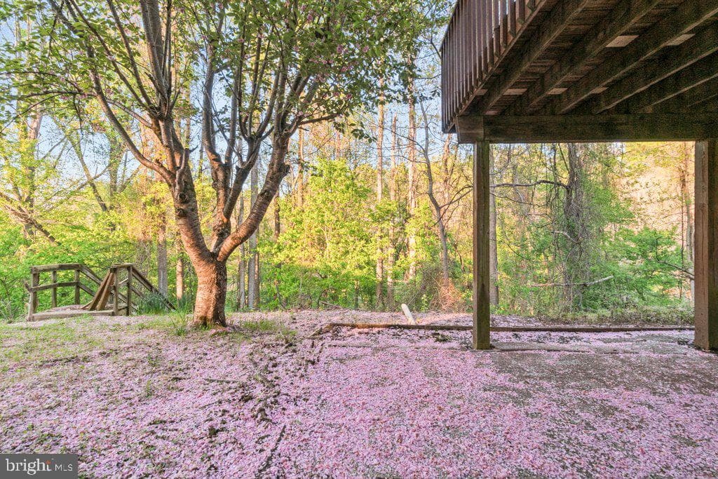311 Rolling Knoll Drive photo 63