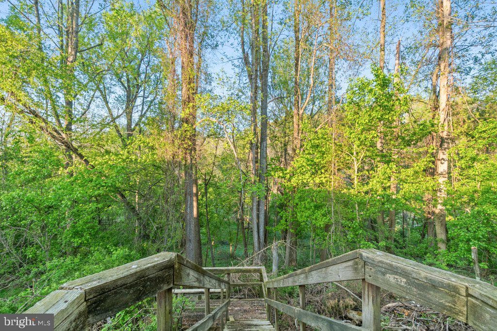 311 Rolling Knoll Drive photo 65