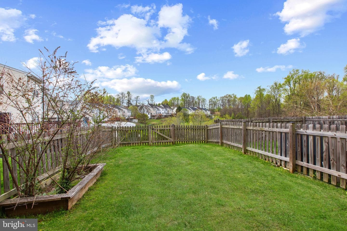 767 Shallow Ridge Court photo 42