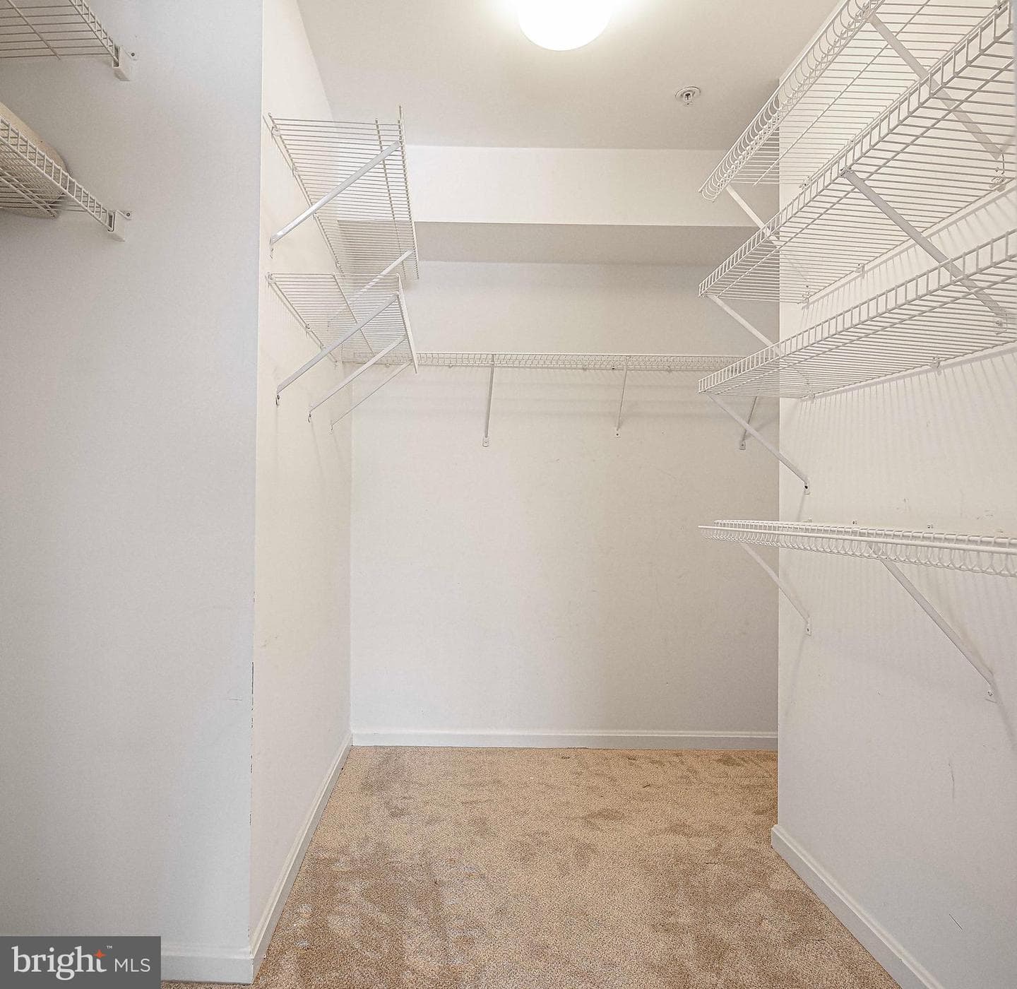 202 Kimary Court #202-1a photo 18