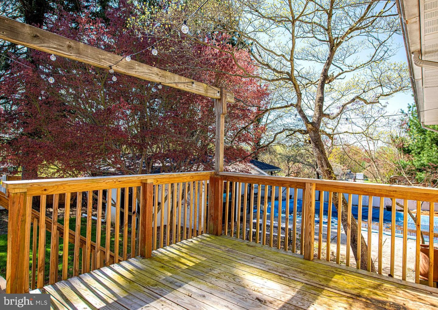 2501 Roy Terrace photo 28