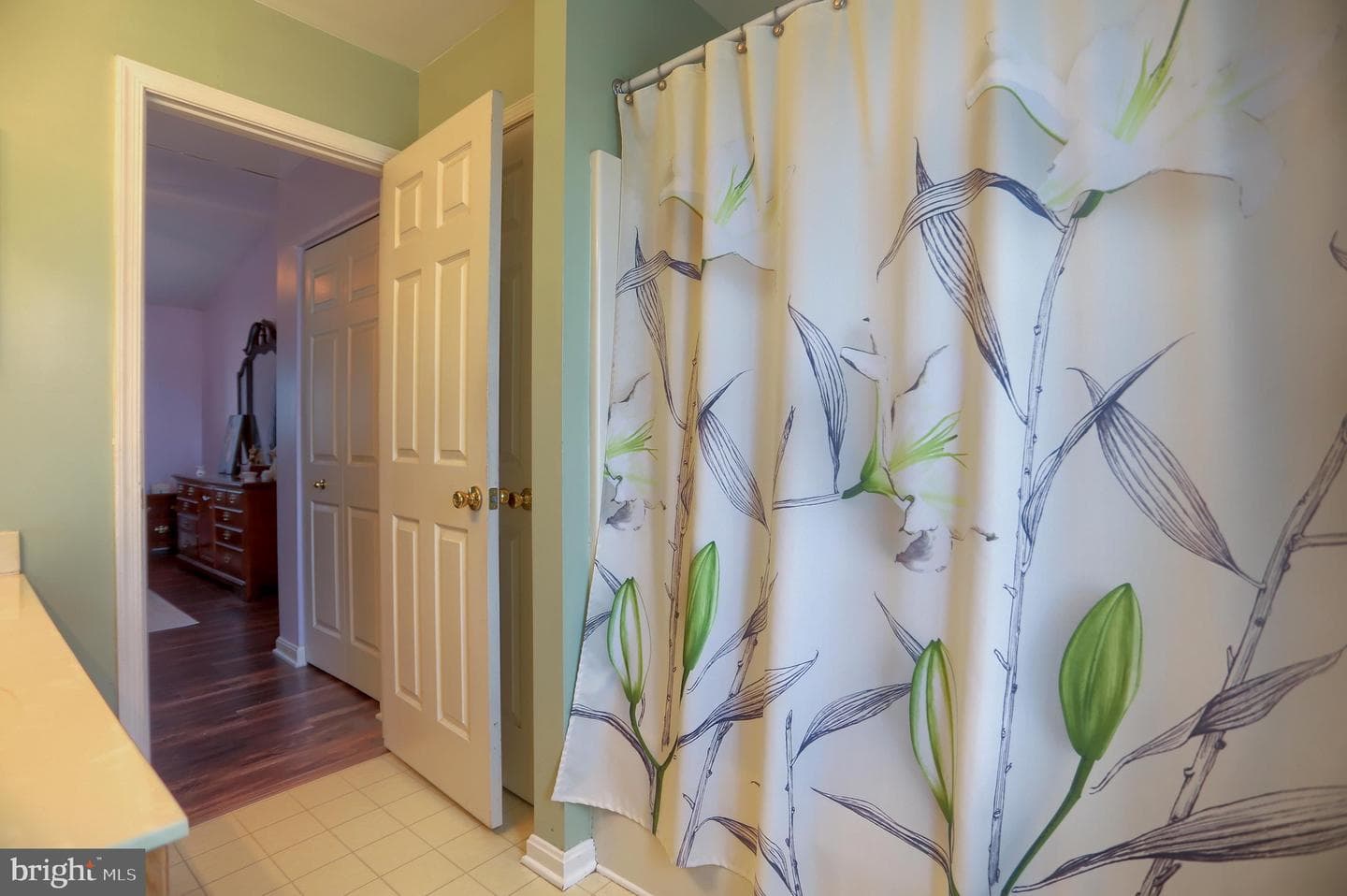 808 White Pine Lane photo 22