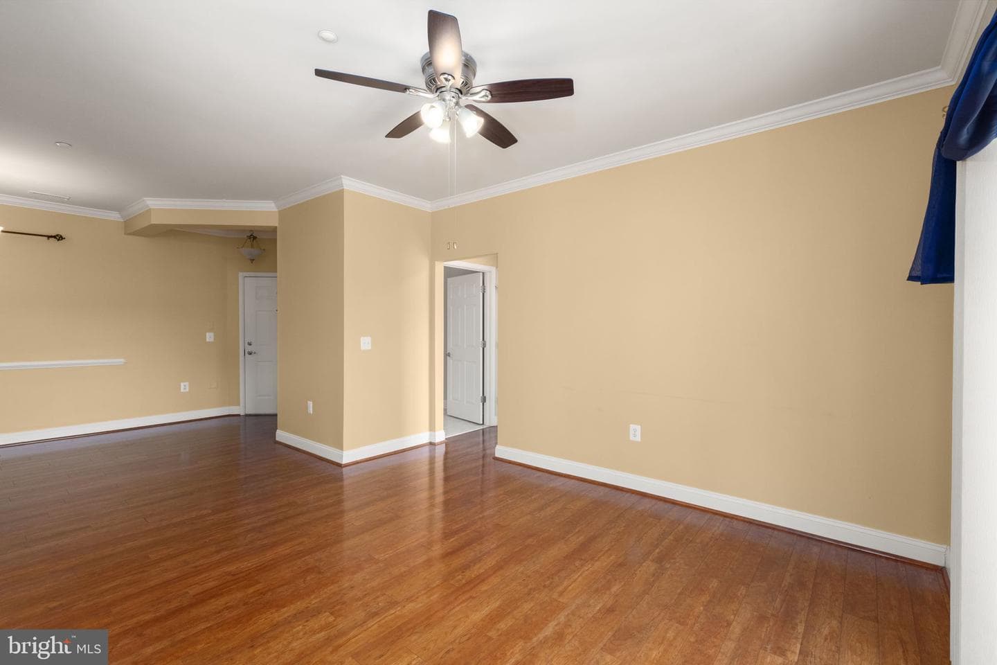 301 Tiree Court #301 photo 11