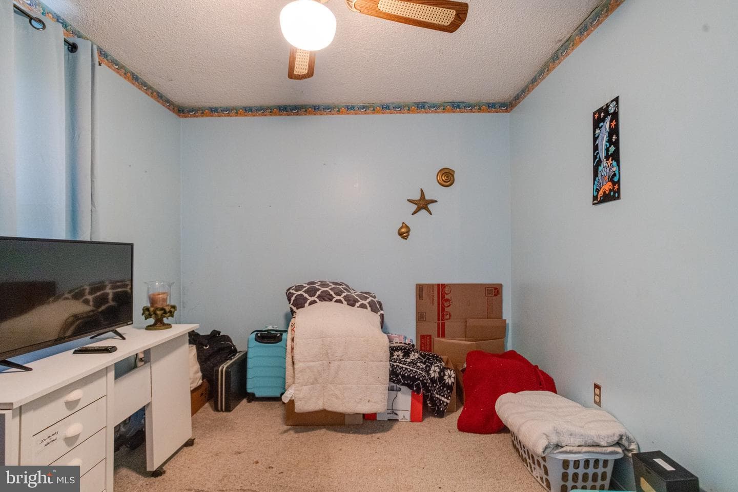 1805 Shirley Avenue photo 16