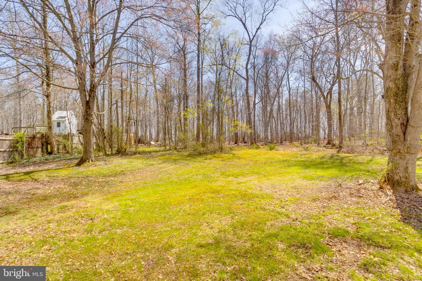 1805 Shirley Avenue photo 33