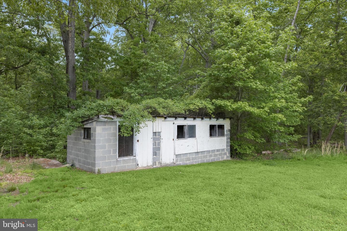 3703 Clayton Road photo 24