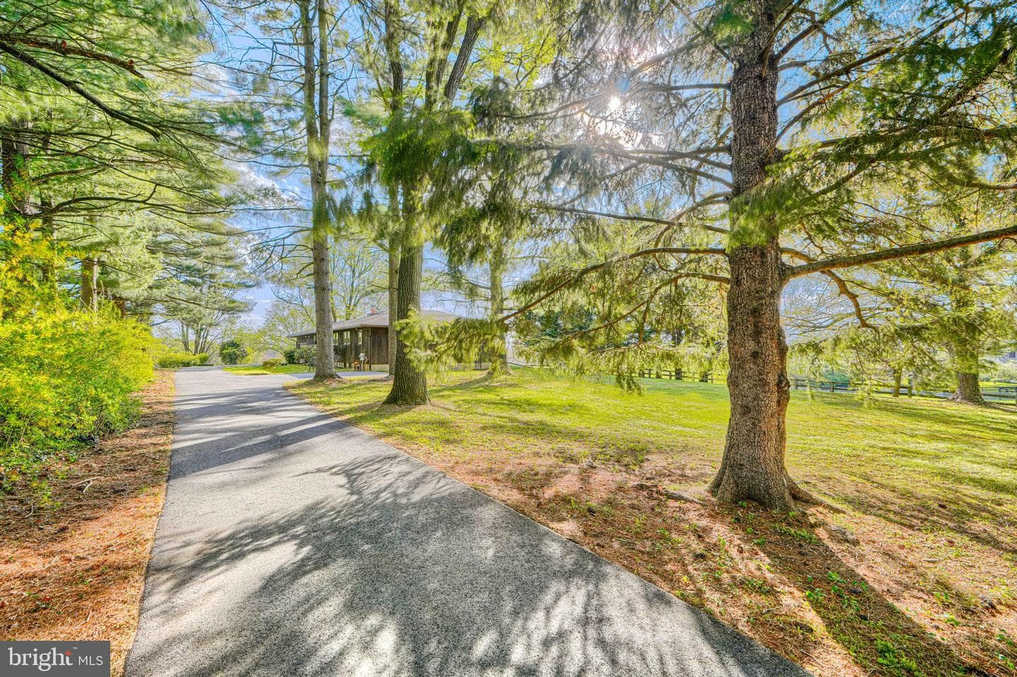 2807 Pocock Road photo 3
