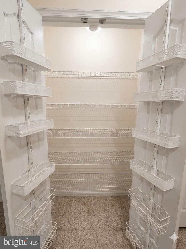 1401 Joppa Forest Drive #9 photo 24