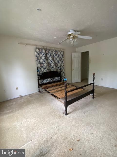 900 Jessicas Lane #900-E photo 16