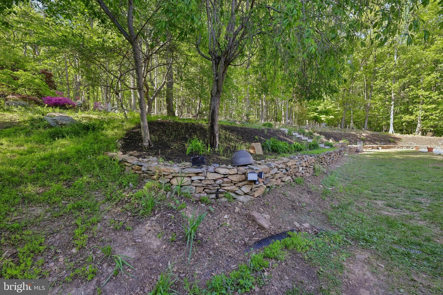 3632 Burkins Road photo 80