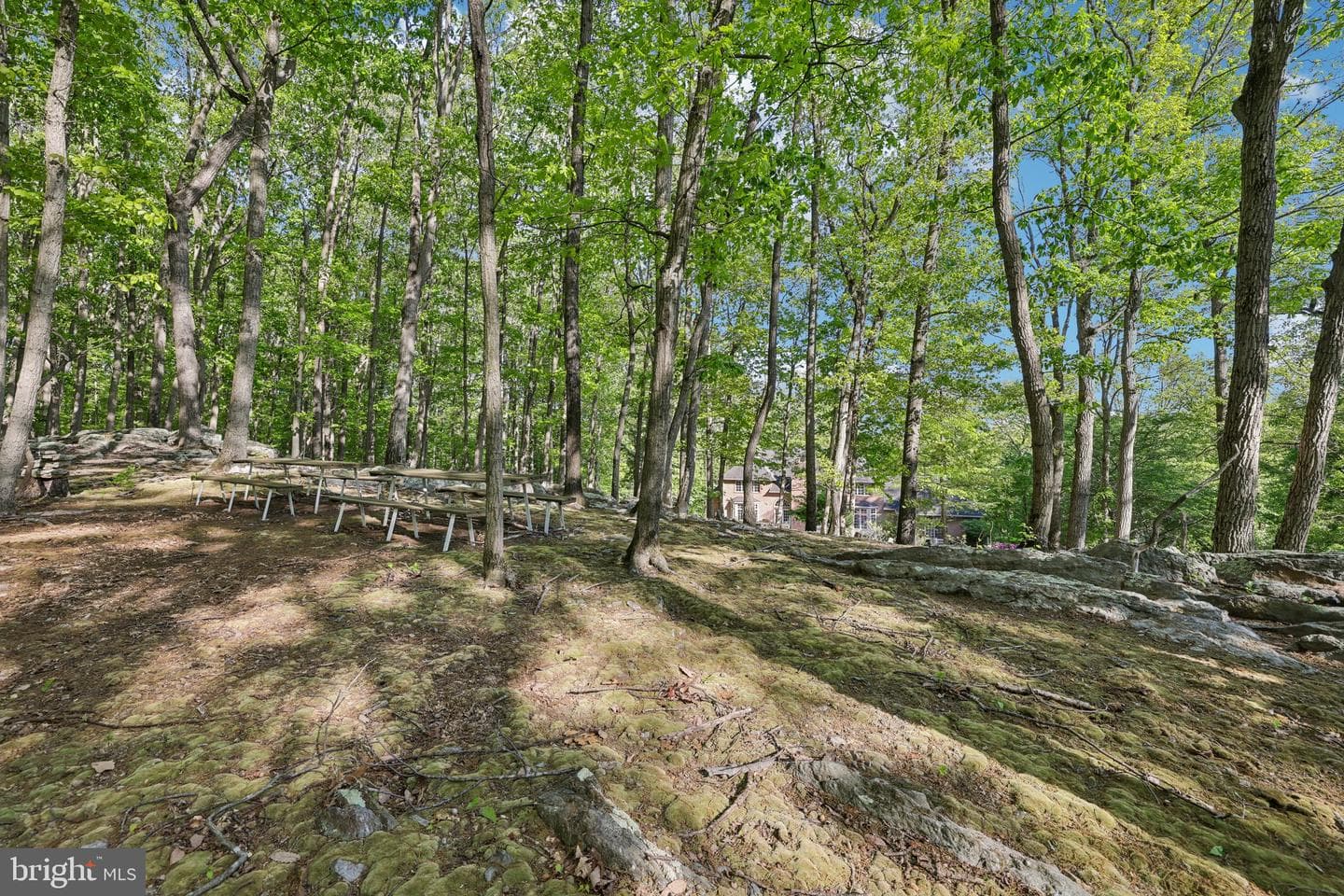 3632 Burkins Road photo 88