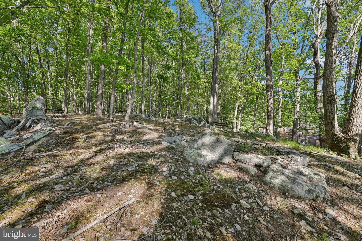 3632 Burkins Road photo 89