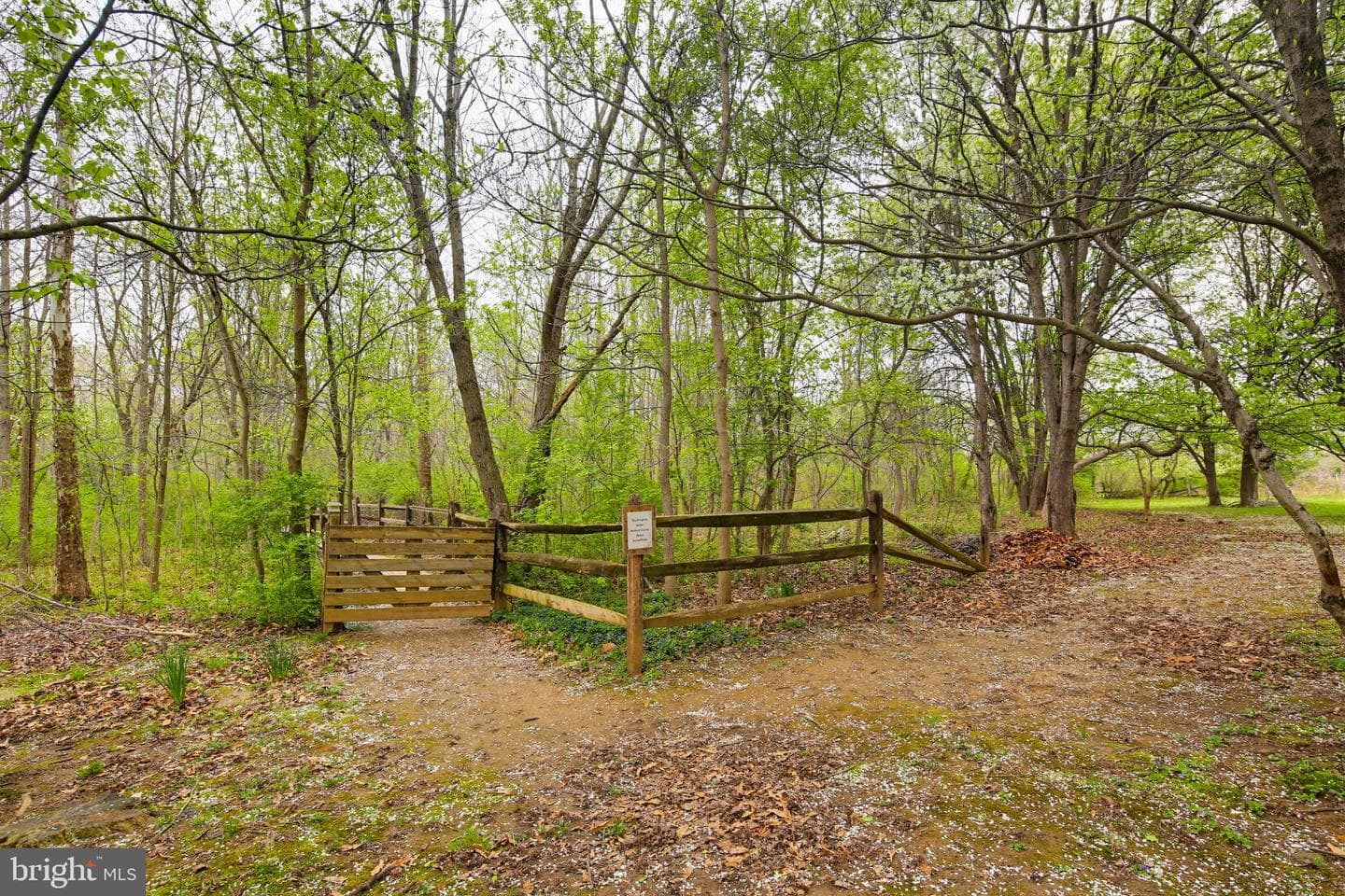 938 Felicia Court photo 37