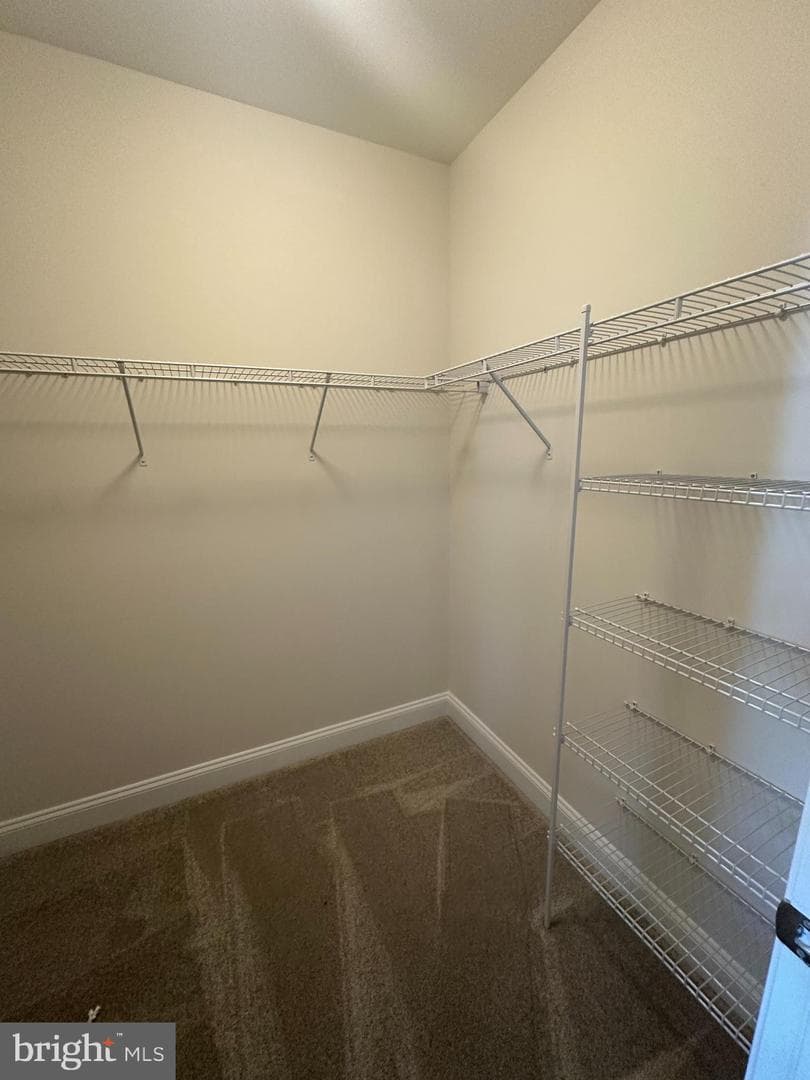 402 Bold Ruler Court #202 photo 15