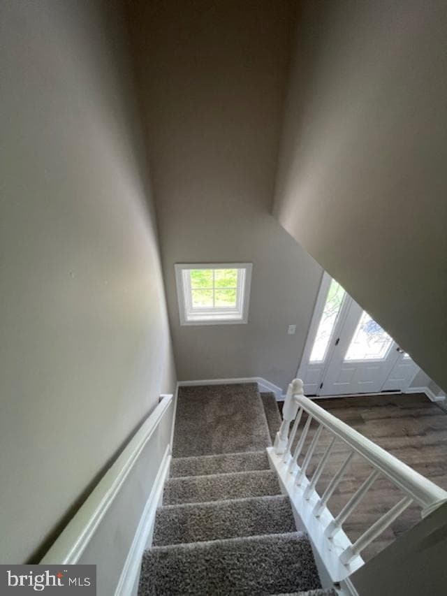 137 Baltimore Street photo 28