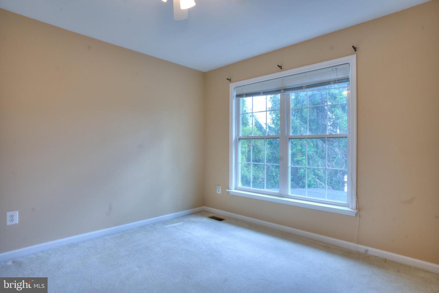711 Hickory Limb Circle photo 38