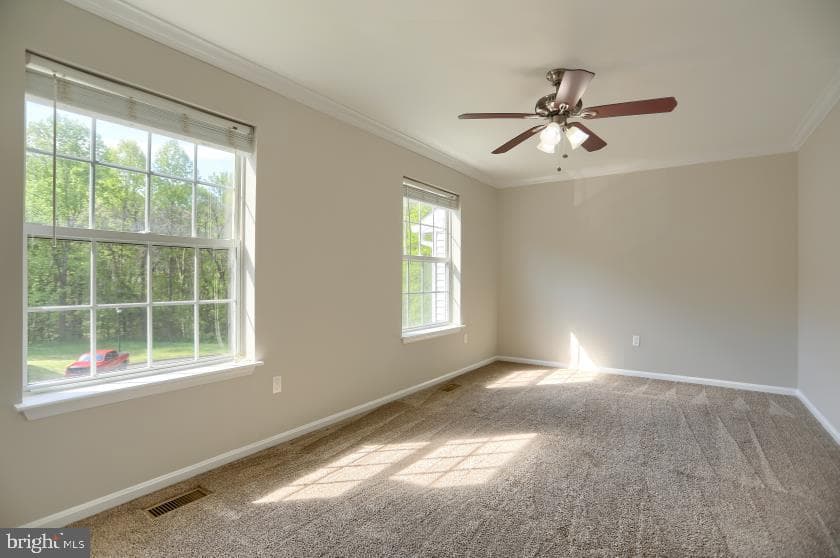 640 Nanticoke Court photo 20