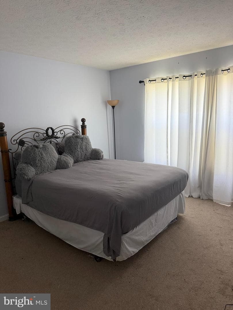 2969 Siwanoy Drive photo 8