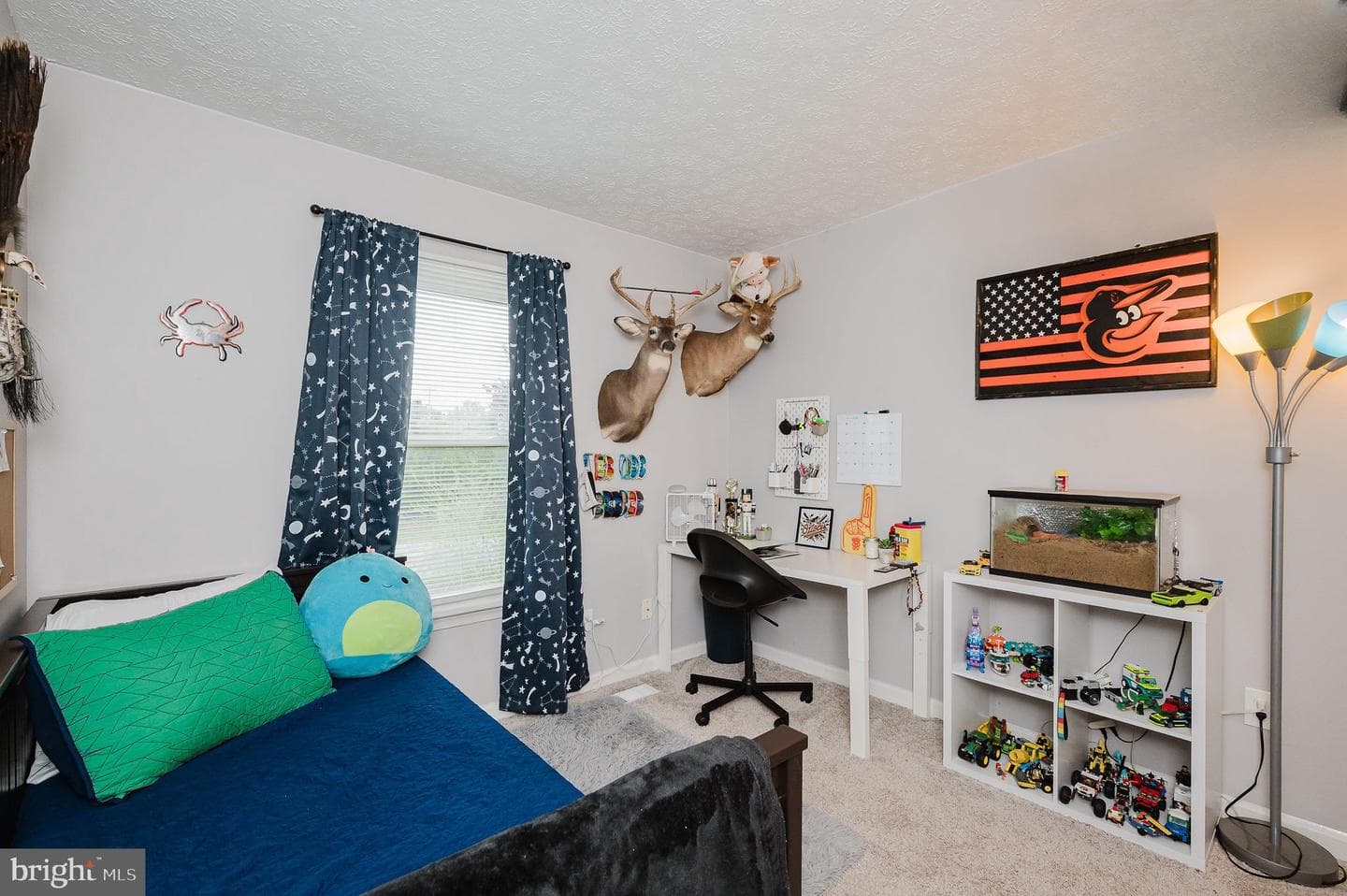 105 Hunter Court photo 20
