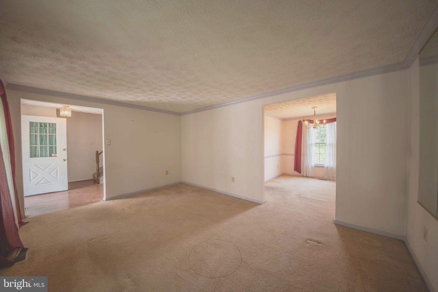 357 Regal Drive photo 3