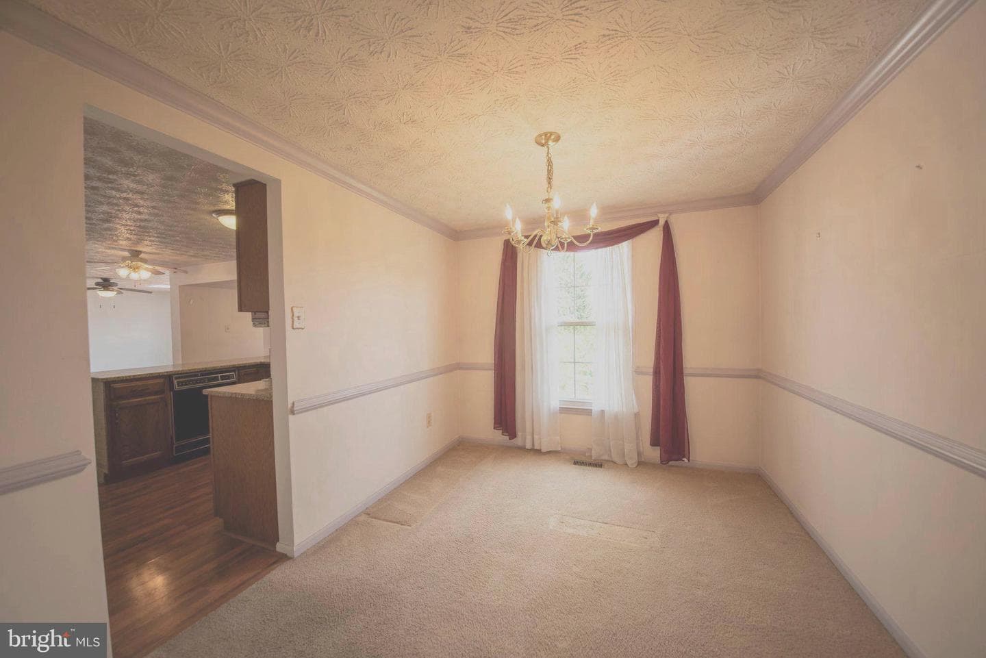357 Regal Drive photo 5
