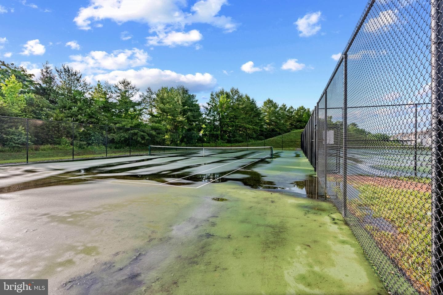 703 Perception Way photo 41