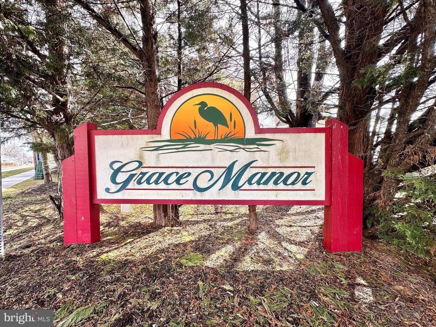 100 Grace Manor Drive photo 48
