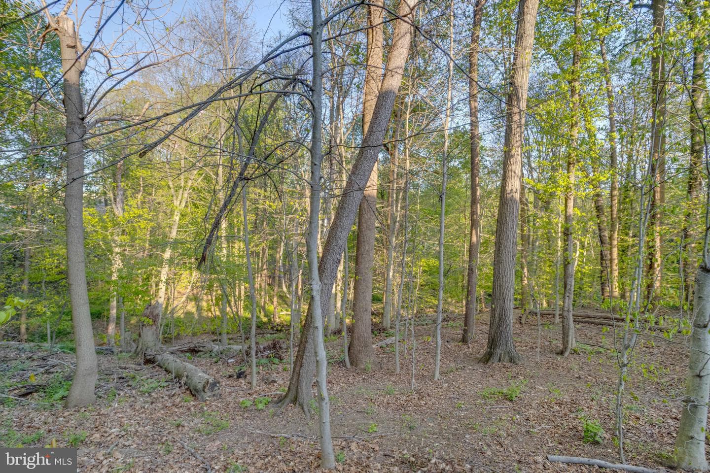 1143 Robin Hill Court photo 58