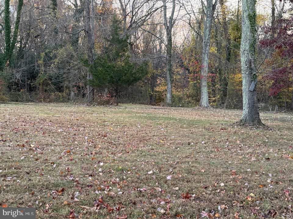 3515 Clayton Road photo 21