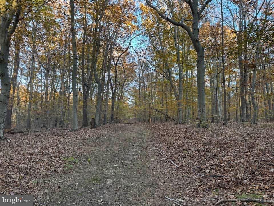 3515 Clayton Road photo 27